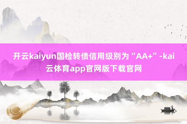开云kaiyun国检转债信用级别为“AA+”-kai云体育app官网版下载官网