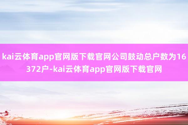 kai云体育app官网版下载官网公司鼓动总户数为16372户-kai云体育app官网版下载官网