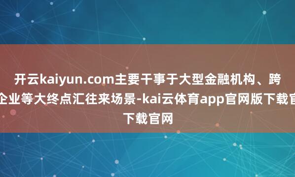 开云kaiyun.com主要干事于大型金融机构、跨国企业等大终点汇往来场景-kai云体育app官网版下载官网